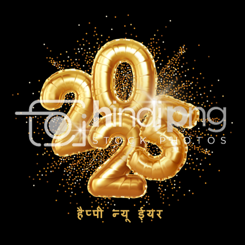 Happy New Year 2025 Wishes in Hindi - Captivating Hindi New Year 2025